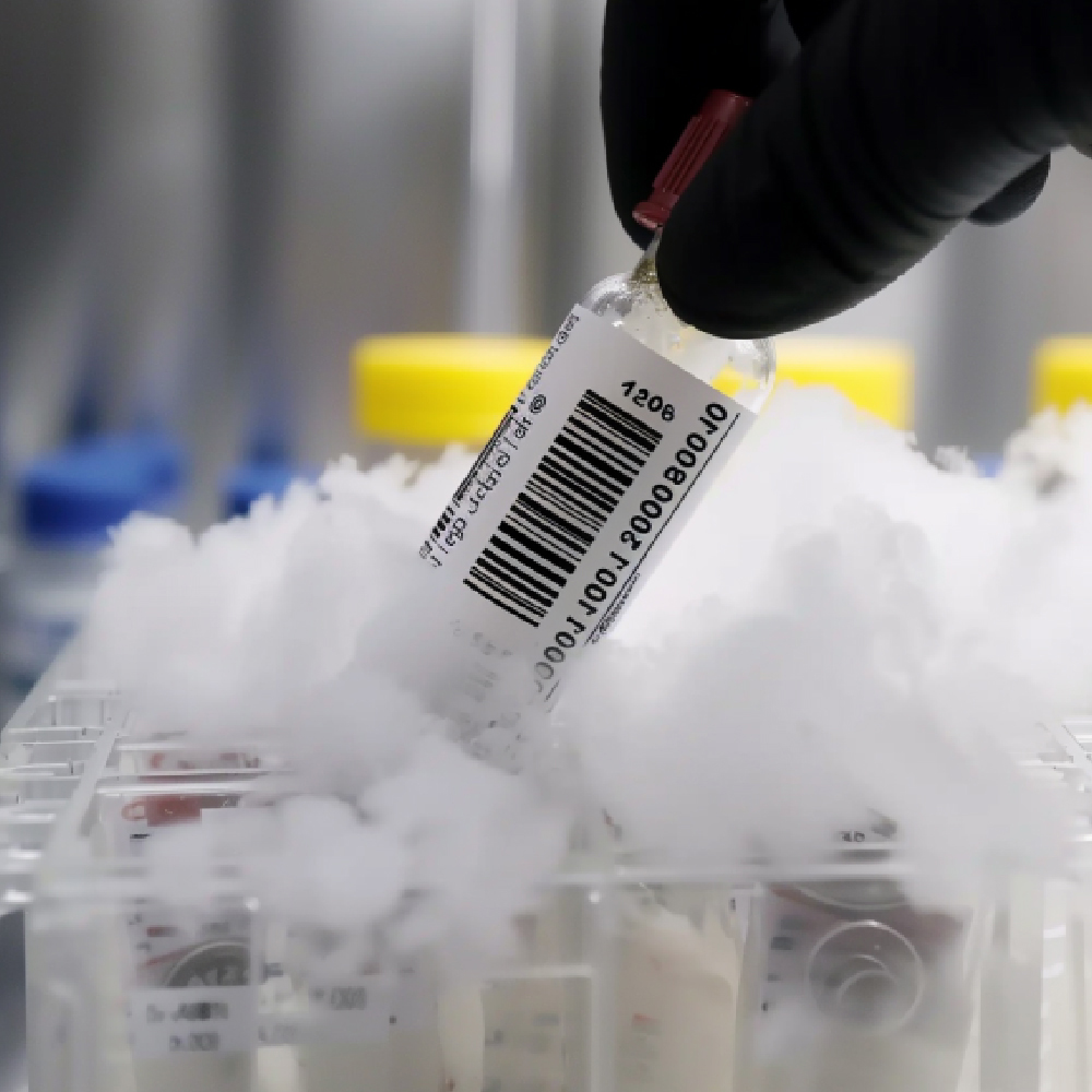 ملصق النيتروجين السائل