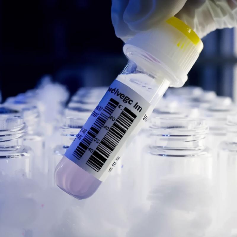 ملصق درجة حرارة منخفضة